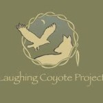 laughing coyote