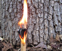 I have never been in the presence of anyone else who has made and used a fatwood candle before.  In my limited # of samples depending on conditions, I get 5 to 10 minutes burn time.  