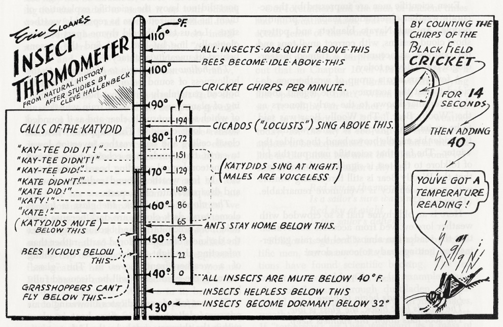 Insect Thermometer