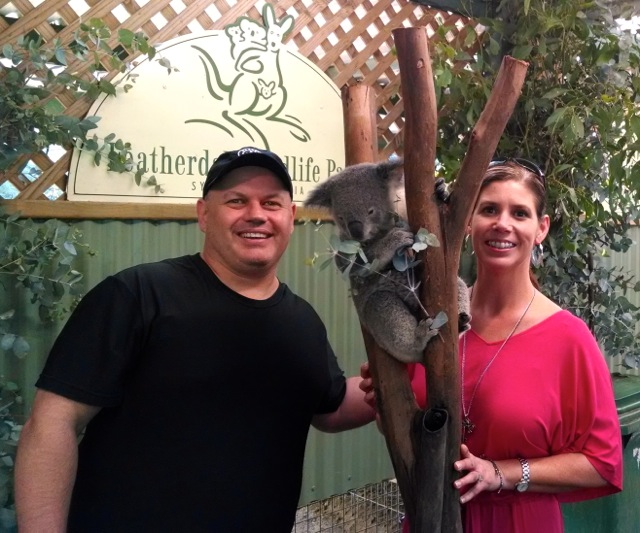 Who doesn't want to pet a Koala?  Also called "Drop Bears" in Australia.  Featherdale Wildlife Park.