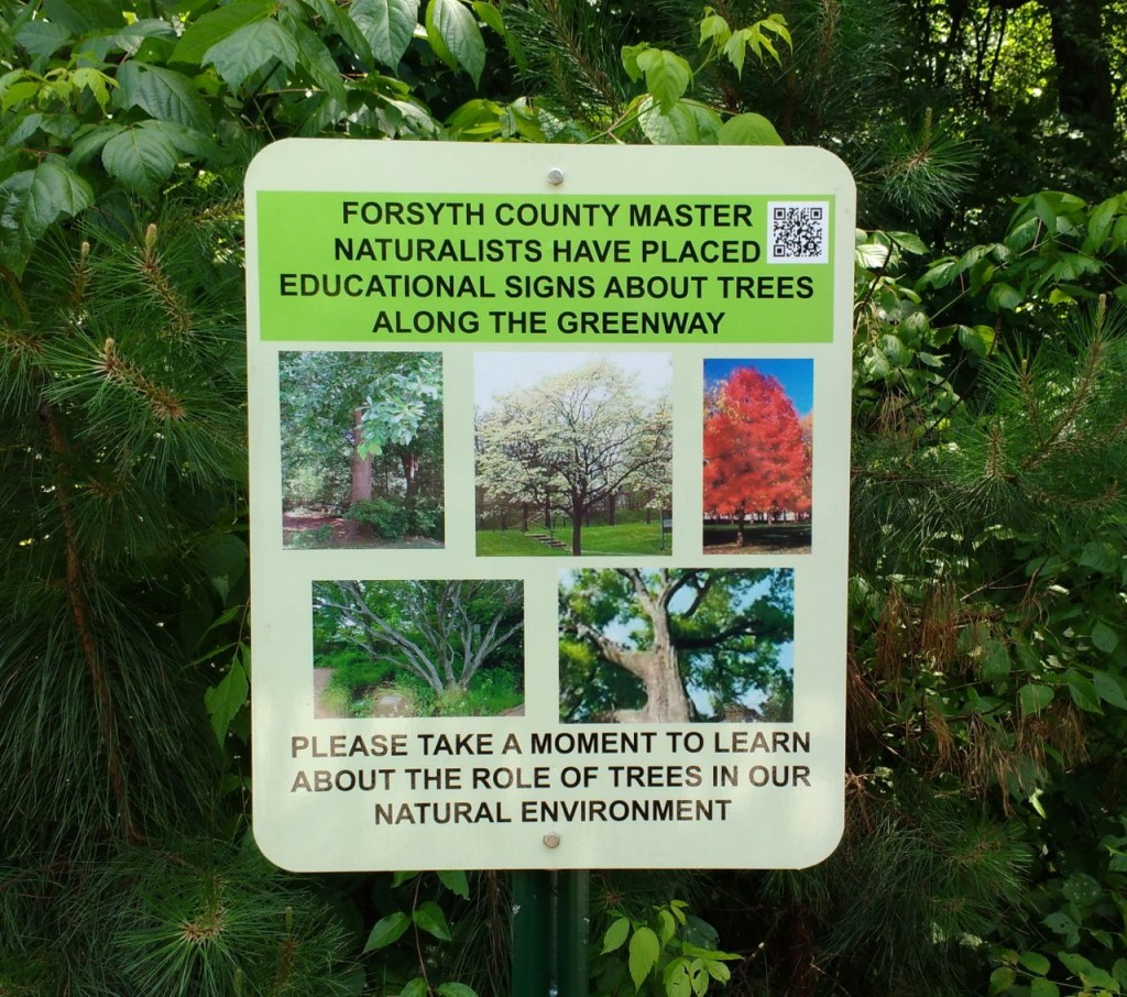 General Tree MN