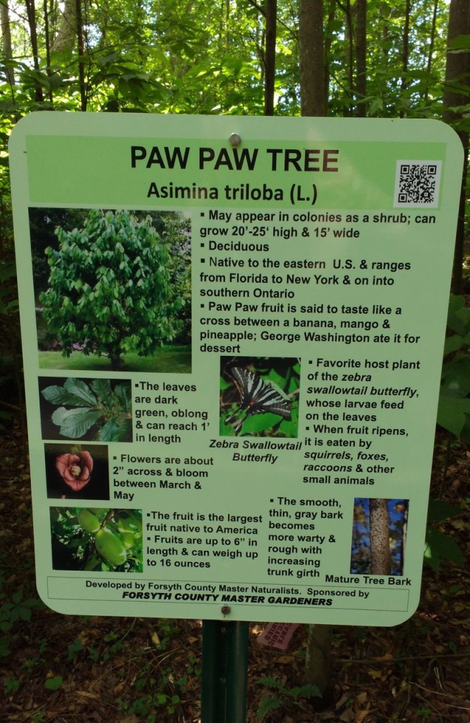 PawPaw MN Sign