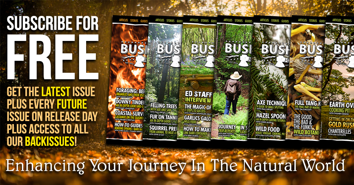The Bushcraft Journal is FREE Master Woodsman